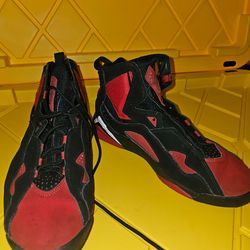 Air Jordan True Flight