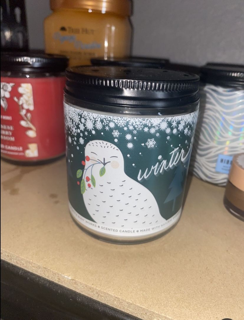 Bath & Body Works Winter Single Wick Candle 