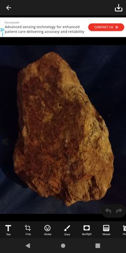 State of Georgia Indian rock effigy