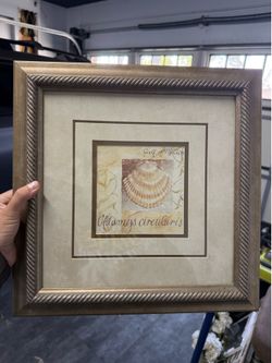 Seashell artwork
