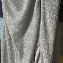 Silver Dress Medium