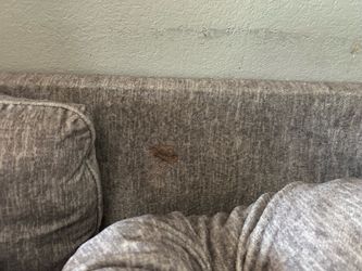 Couches