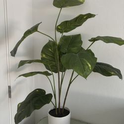 fake plant