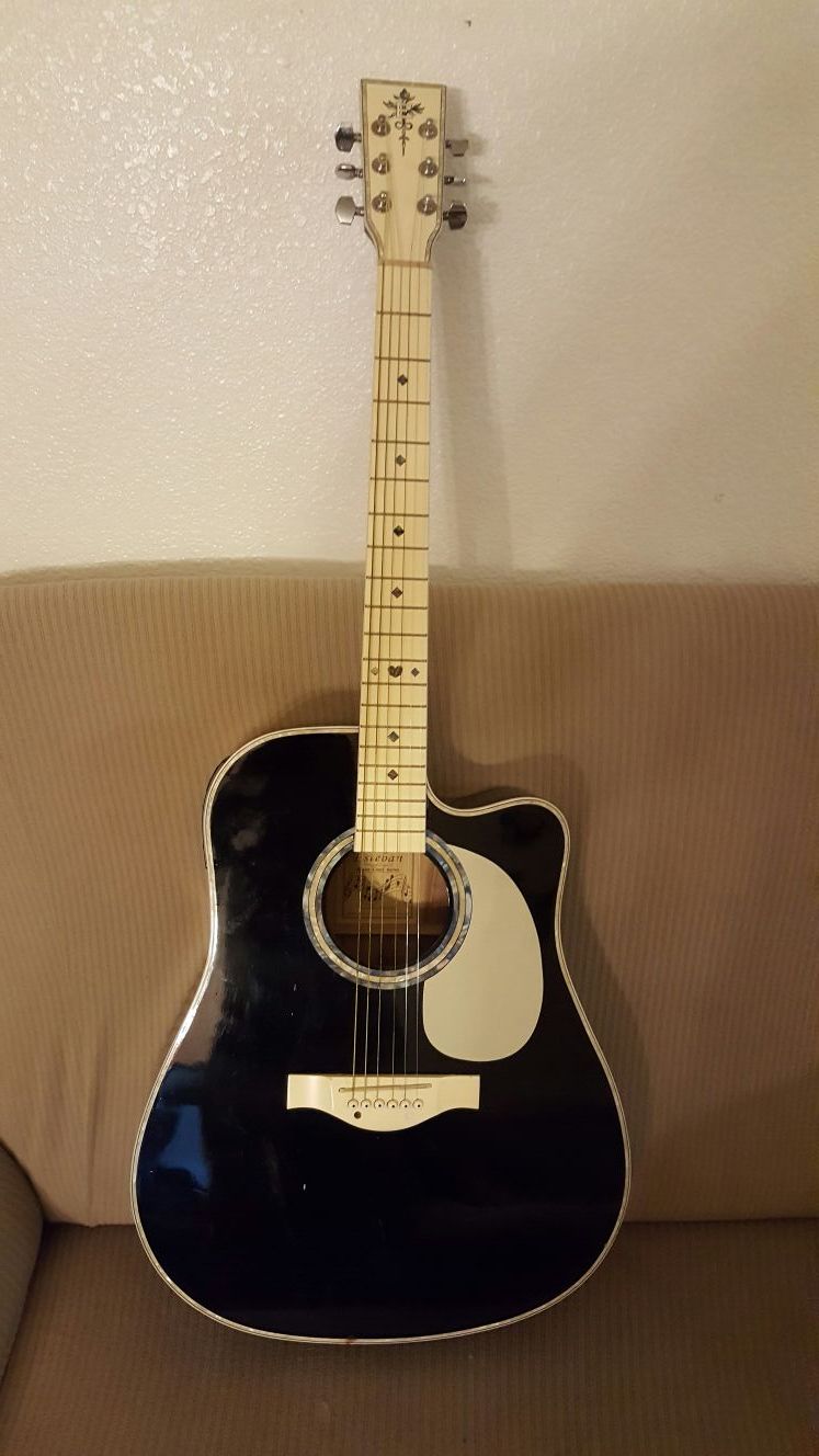 Esteban Master Class Series Acoustic/Electric Guitar VL-100