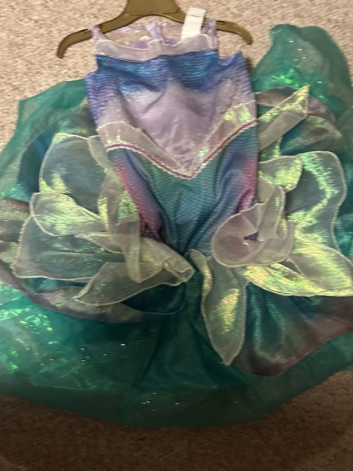 Little Mermaid Costume/dress