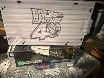 Hotwheels back to the future 40th