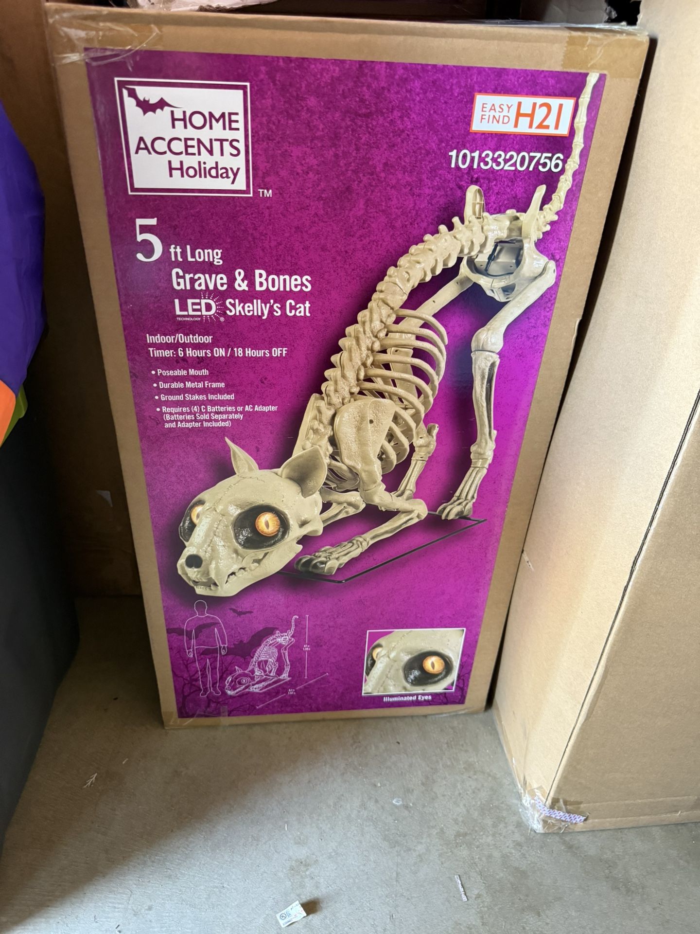 Halloween Skellys Cat Skeleton 5ft light up eyes