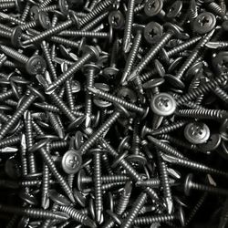 Screws! Tornillos!