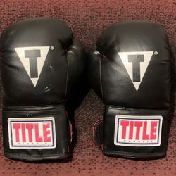 Title Classic Style Boxing Gloves 