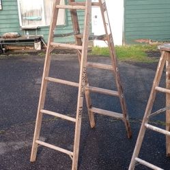 2painters Ladders 