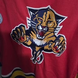 Authentic PANTHERS JERSEY 