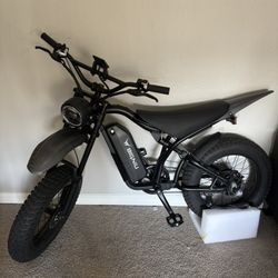 Street Legal Electric Bike BigNiu-BGS