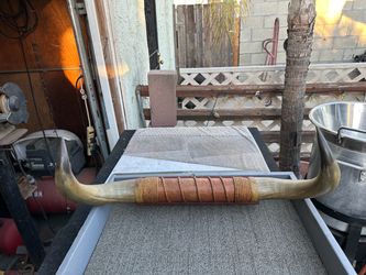 Bull horns