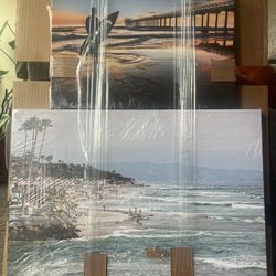 California Ocean Canvas 