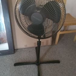 Standing Fan 