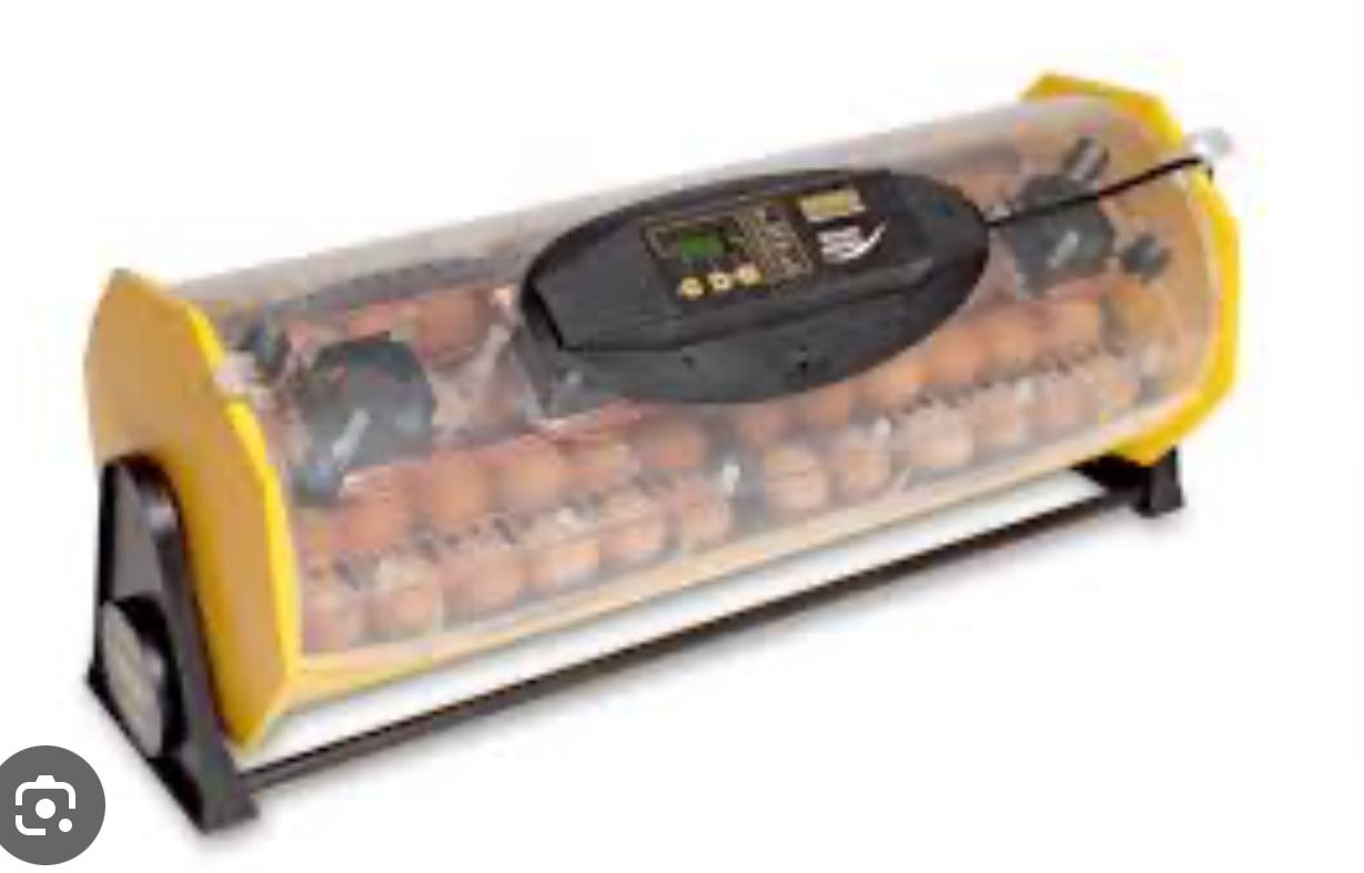 Incubator Brisnea 40