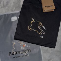 Premium Cotton Tee (Heavyweight Feel)