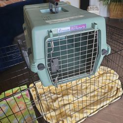 Pet Transportation Box