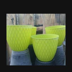 Houseplant Pots