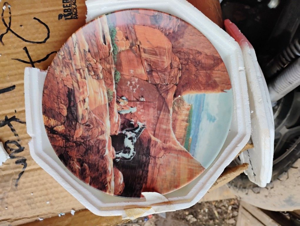 Native American Heritage Plate