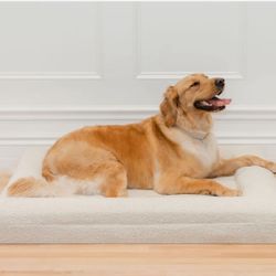 Orthopedic Boucle Dog Bed
