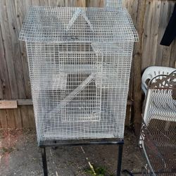 Bird Cage 