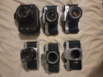 Film Camera Lot