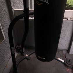 Everlast Punching Bag With Mount 