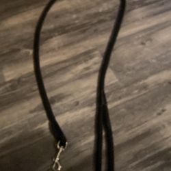 Dog Leash
