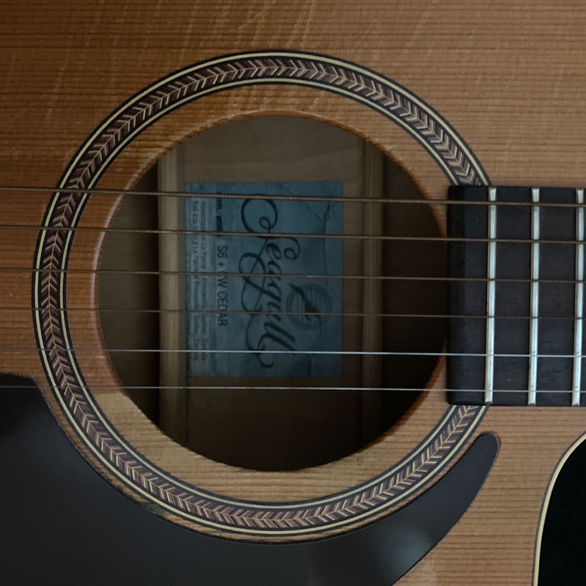 Guitar and Case