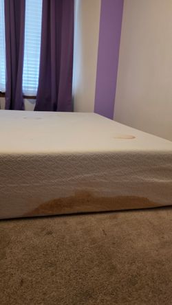 Freee queen foam mattress