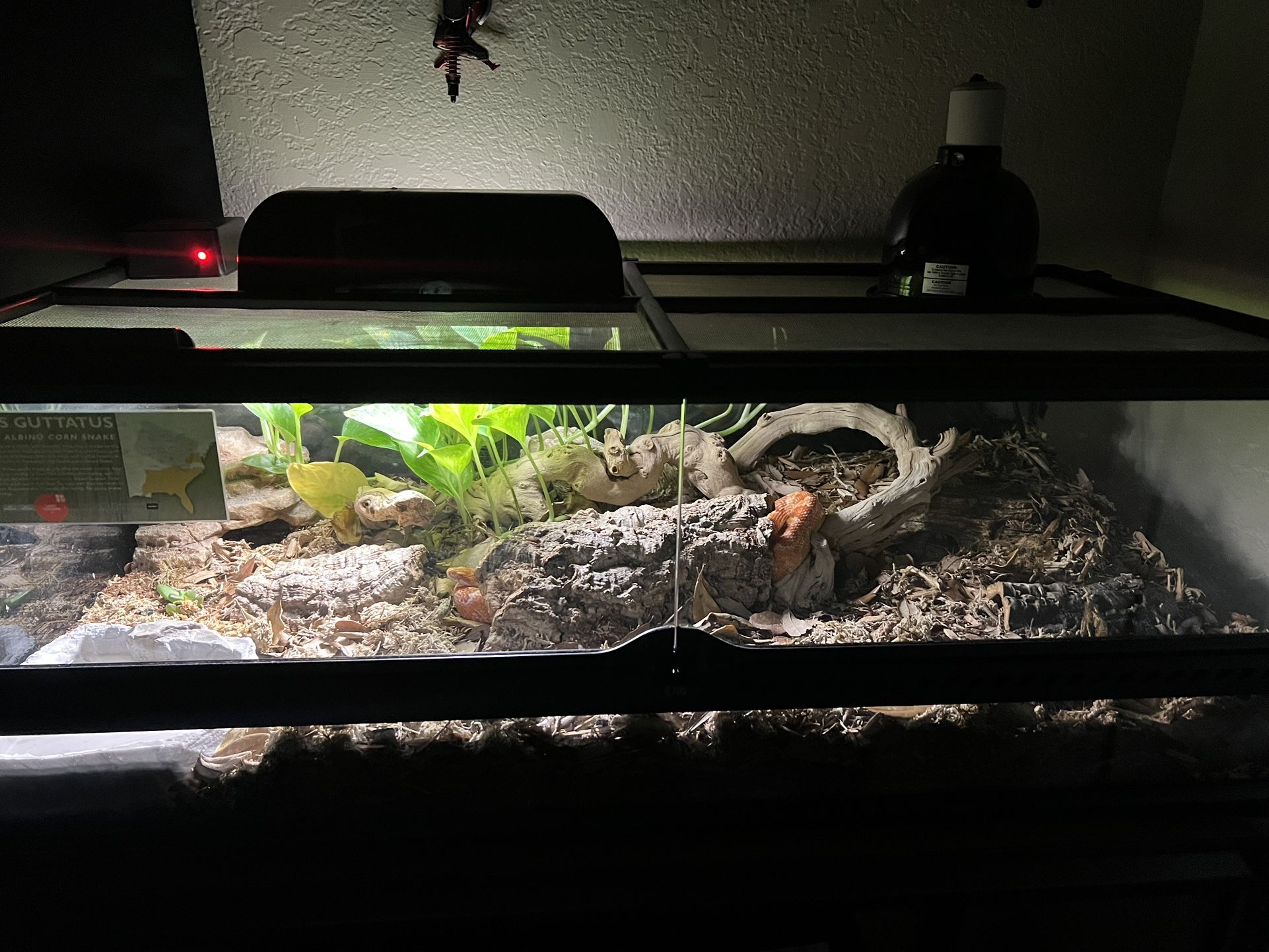 Exo Terra Reptile Tank 40 gallon