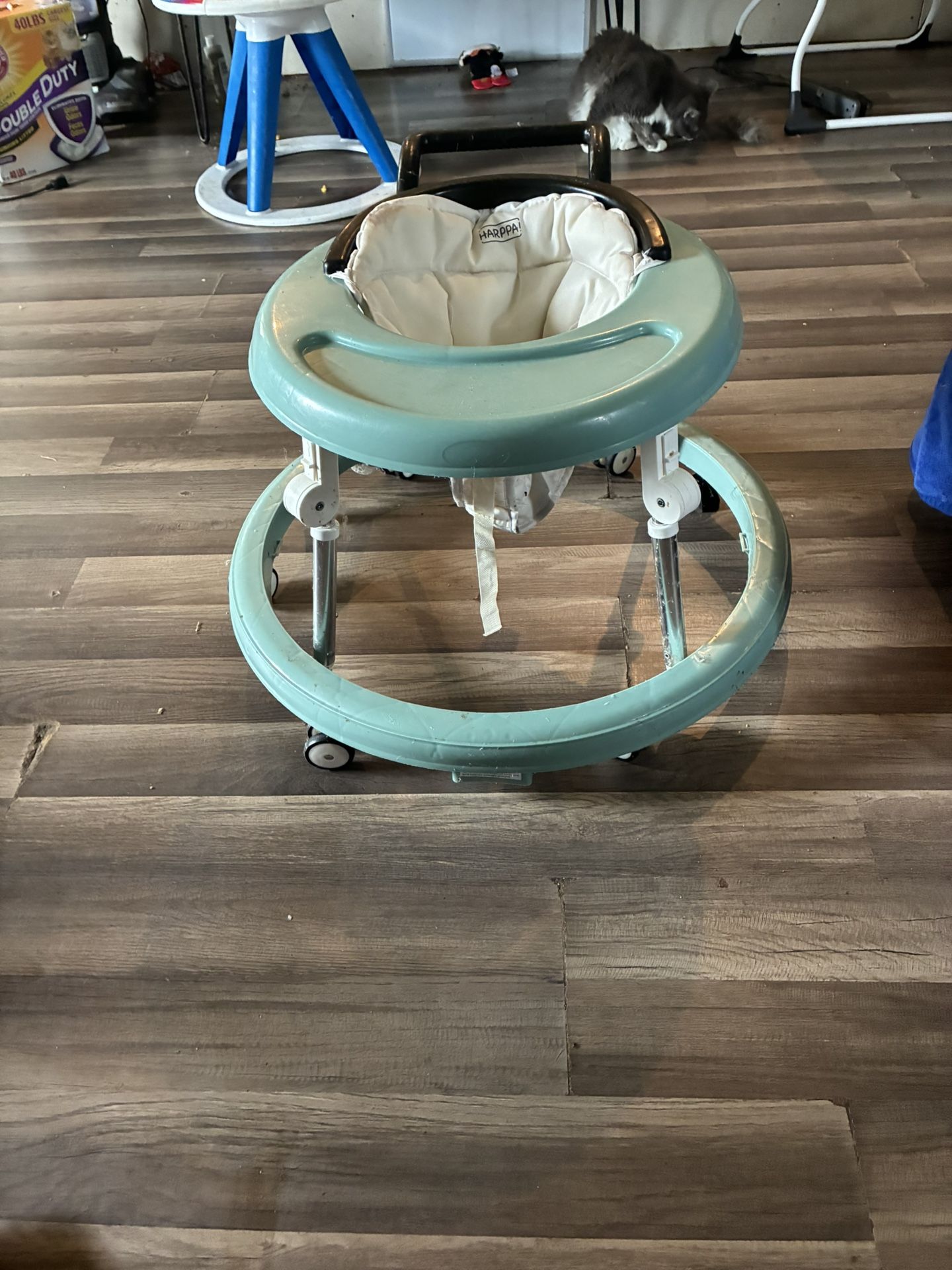 Adjustable Walker 