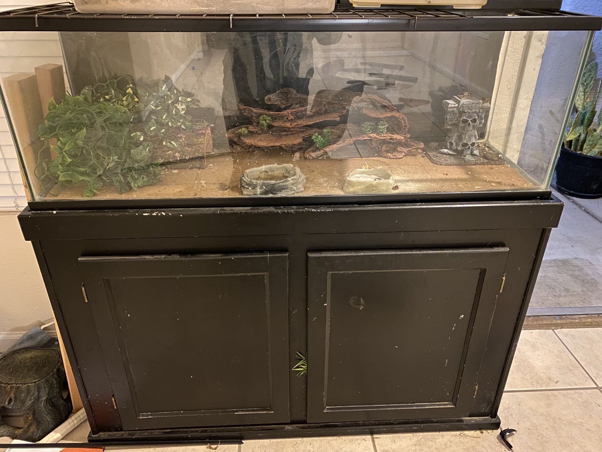 50 Gallon Lizzard Tank With Free Black Wooden Stand