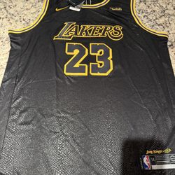 Los Angeles Lakers Jersey #23