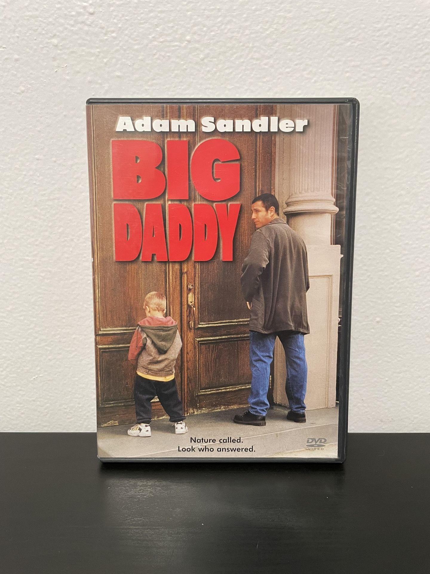 Big Daddy DVD Movie Adam Sandler Comedy Jon Stewart Widescreen 1999