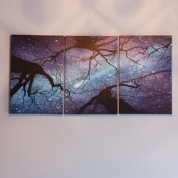 Canvas Wall Art 