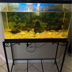 20 Gallon Fish Tank