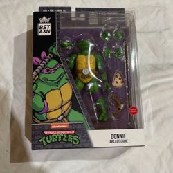 Ninja 🥷 Turtle 🐢