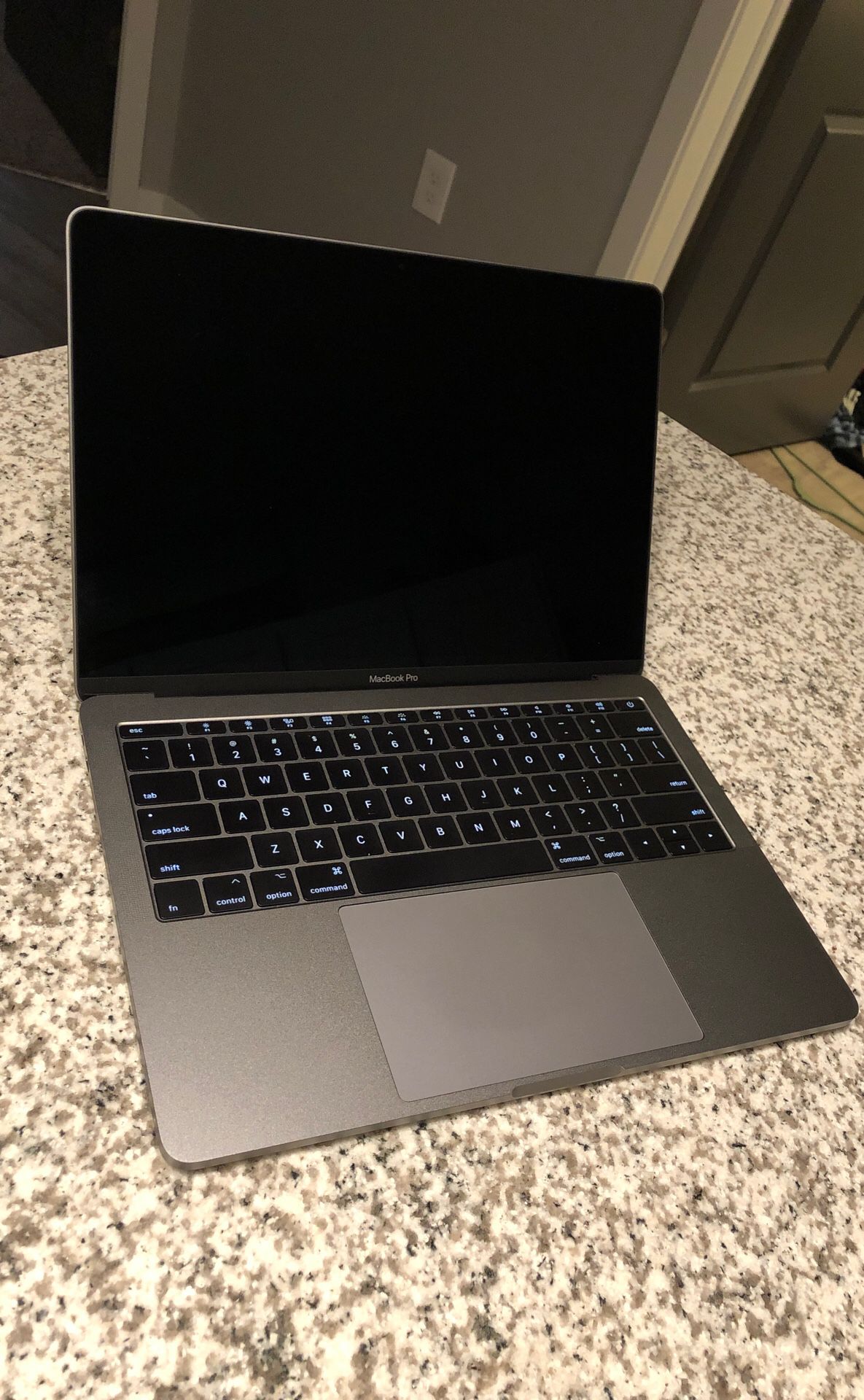 MacBook Pro 13 inch 2017 128ssd flash store 8gb space grey
