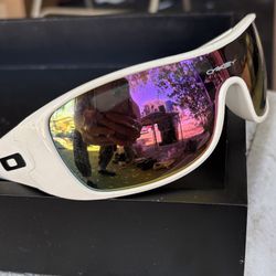 Oakley Sunglasses 