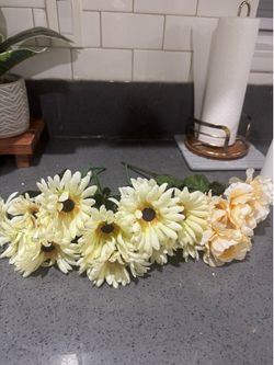 Fake daisies