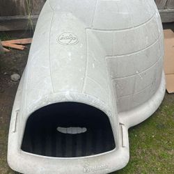 Medium Size Igloo 