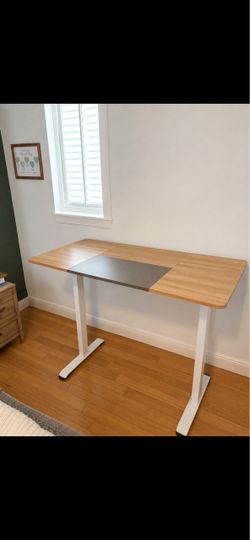 Standing Desk with Wood Top and White Frame