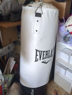 Punch bag with stand lightly used