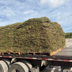 Fresh Sod 
