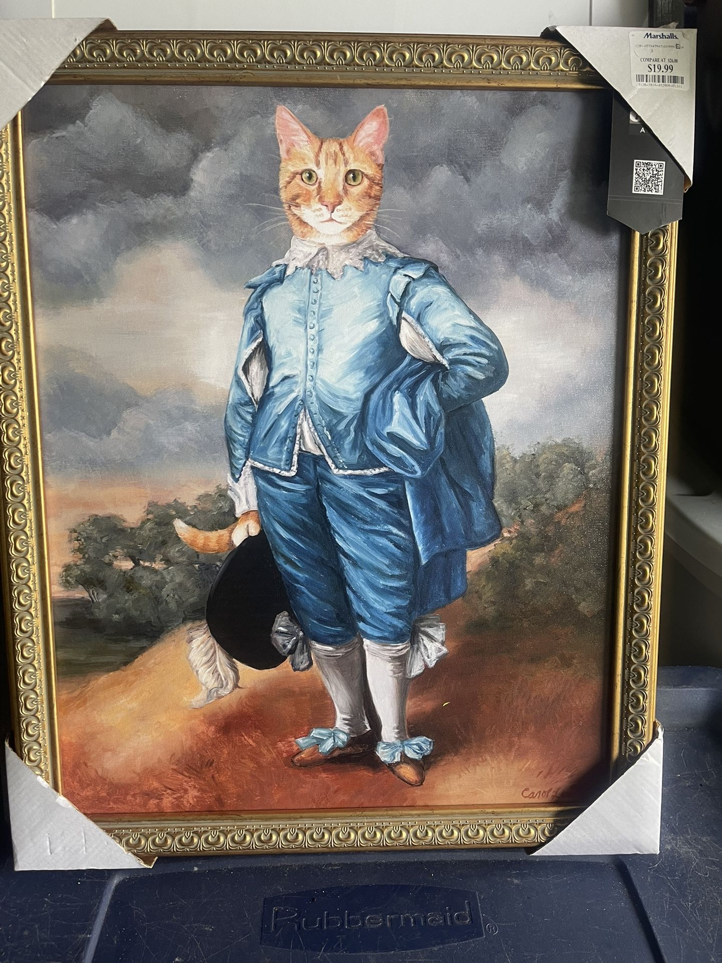 Animal Pictures 