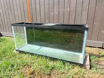 Aquarium