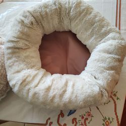 Bed For Baby Cat Make Offer