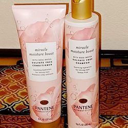 Pantene Shampoo And Conditioner $5